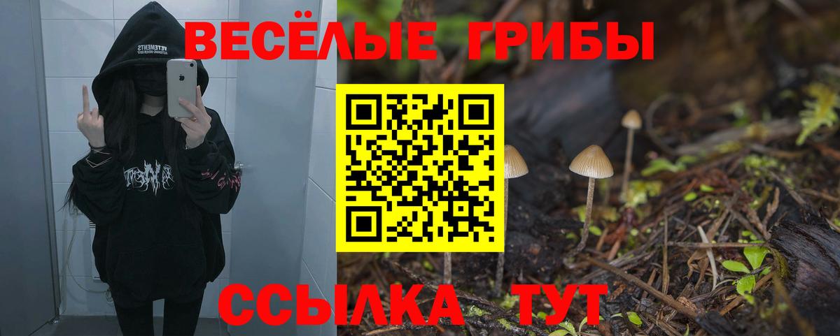Псилоцибиновые грибы мухоморы  Вход с VPN  Сертолово 
