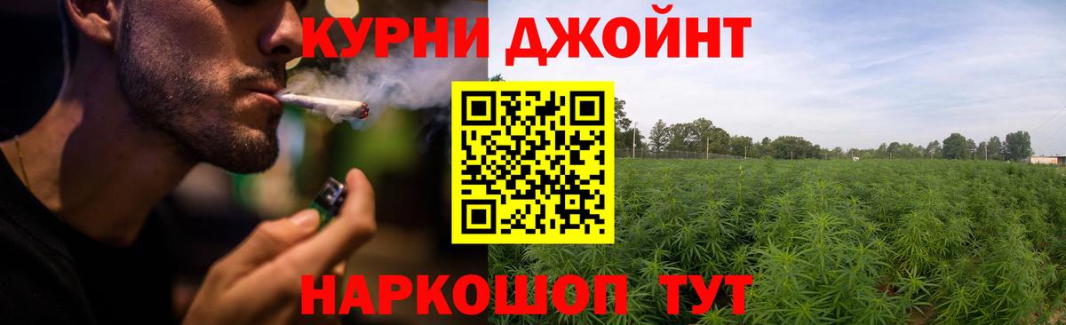 Шишки марихуана ГИДРОПОН  Бошки марихуана план  Каннабис сатива  Вход с VPN  МАРИХУАНА сатива  Сертолово 